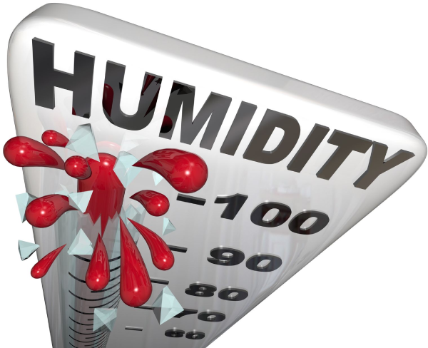 High Humidity in Arlington Heights, Illinois